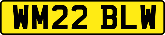 WM22BLW