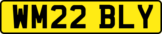 WM22BLY
