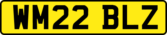 WM22BLZ