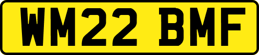 WM22BMF