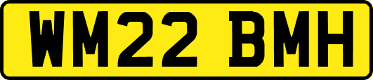 WM22BMH