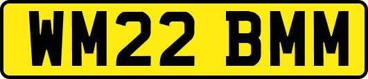 WM22BMM