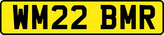WM22BMR