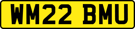 WM22BMU