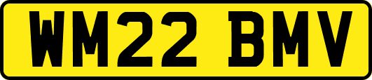 WM22BMV