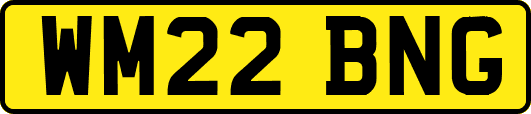 WM22BNG