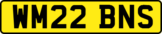 WM22BNS