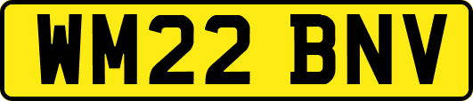 WM22BNV