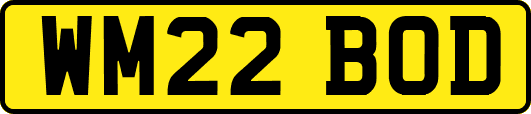WM22BOD