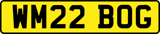 WM22BOG