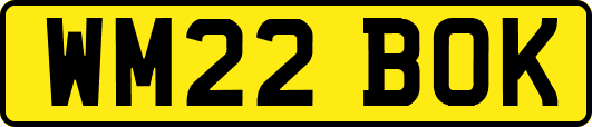 WM22BOK