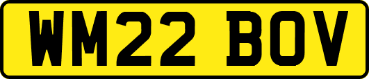 WM22BOV