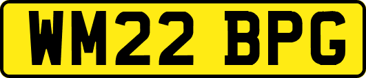 WM22BPG