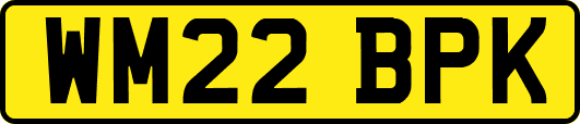 WM22BPK
