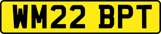 WM22BPT