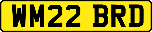 WM22BRD