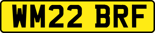 WM22BRF
