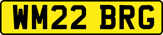 WM22BRG