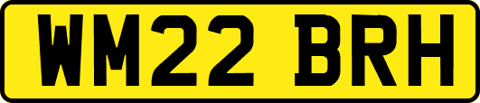 WM22BRH