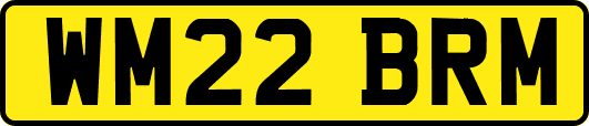 WM22BRM