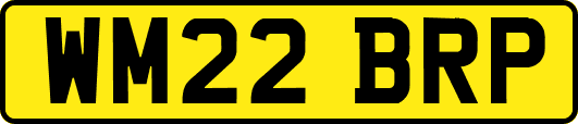 WM22BRP