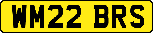 WM22BRS