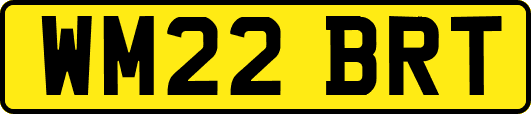 WM22BRT