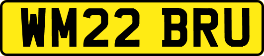 WM22BRU