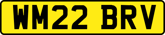 WM22BRV