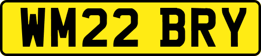 WM22BRY