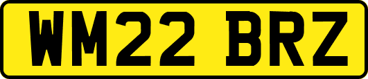 WM22BRZ