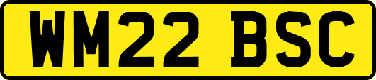 WM22BSC