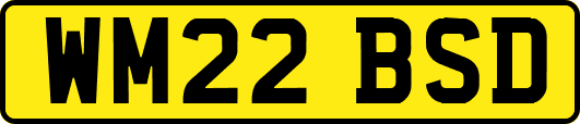 WM22BSD