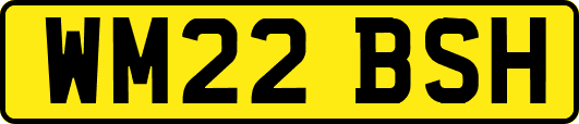 WM22BSH