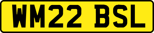 WM22BSL