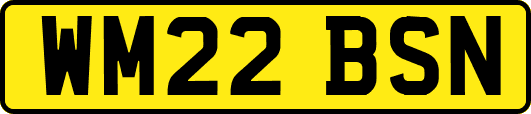 WM22BSN