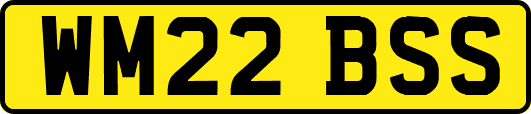 WM22BSS