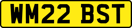 WM22BST