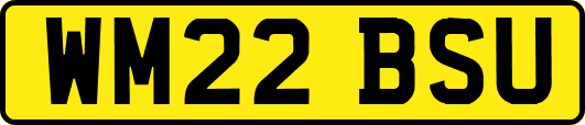 WM22BSU