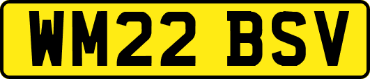 WM22BSV