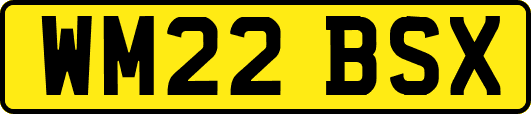 WM22BSX