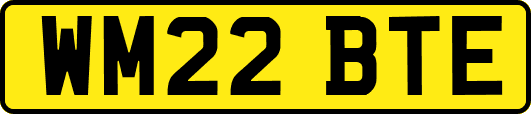 WM22BTE
