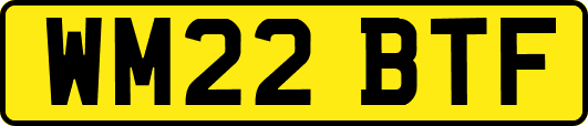 WM22BTF