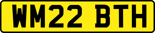 WM22BTH