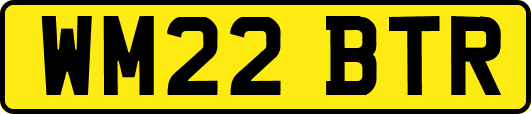 WM22BTR