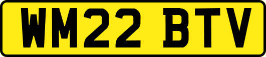 WM22BTV