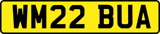 WM22BUA