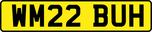 WM22BUH