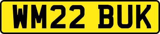 WM22BUK