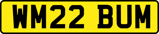 WM22BUM